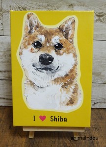 Art Frame Shiba Dog