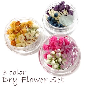 Material Herbarium Flower Dry flower Ballpoint Pen 3-color sets