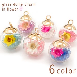 Material Dry flower 6-colors 16mm