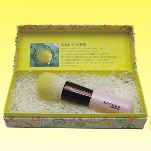 Makeup Kit Kumano brushes Made in Japan