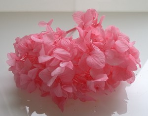 【予約販売】あじさい ストロベリーピンク 約2輪 プリザーブドフラワー花材　フィオリエンテ