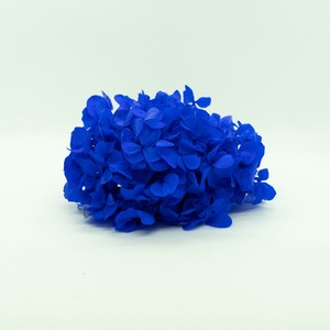 あじさい ミッドナイトブルー 約2輪 プリザーブドフラワー花材　テラハナ