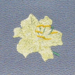 Japanese Bag Flower Lily