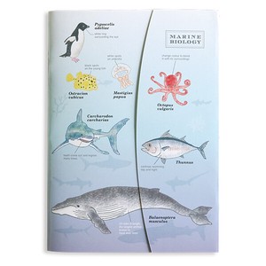 STUDY HOLIC A5 Notebook Sea Creatures