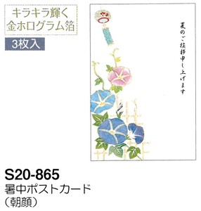 【暑中】【夏のご挨拶】暑中ポストカード 3枚入 (朝顔) S20-865