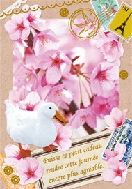 Postcard Cherry Blossom Animals