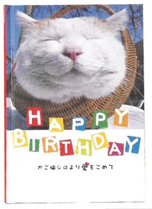 【本】【メッセージ】【誕生日】K/NメッセージブックBD (かご猫) B100-18