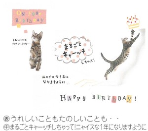 【誕生日カード】【メッセージ】BD動物ポップカード (猫) B28-092