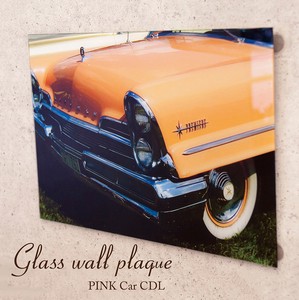 Glass Wall PINK Car