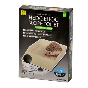 Small Animal Pet Item Hedgehog
