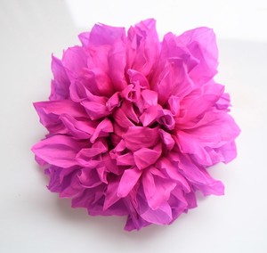 【予約販売】ダリア  ピンクパープル（M)2輪入り プリザーブドフラワー花材　フィオリエンテ