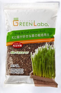 [エイムクリエイツ] GEEN Labo Dog & Cat grass soil 犬と猫が好きな草の栽培用土 3L