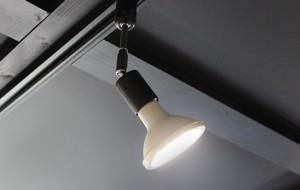 【業務用】LED電球ビームランプ形12Wスポットライト