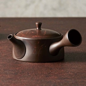 TOKONAME Ware type Japanese Tea Pot Mesh type Plain Japanese Tea Pot
