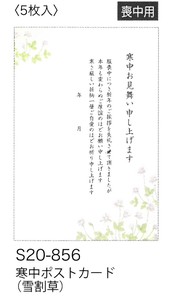 【 寒中ポストカード】【喪中用】 寒中ポストカード(雪割草) S20-856