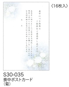 【喪中ポストカード】【喪中用】 喪中ポストカード(菊) S30-035