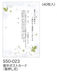 【喪中ポストカード】【喪中用】 喪中ポストカード(菊押し花) S50-023