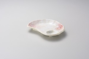 桜志野貝型仕切皿  【日本製    磁器】