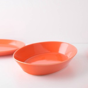 Mino ware Donburi Bowl Orange Western Tableware 25cm Made in Japan