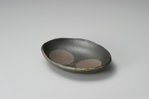 Shigaraki ware Plate Pottery Made in Japan