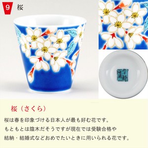 Kutani ware Barware Cherry Blossoms