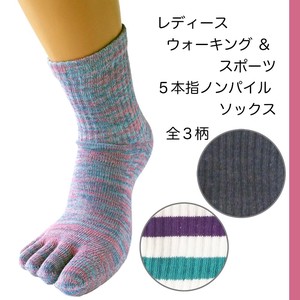 Crew Socks Socks Ladies' Cotton Blend