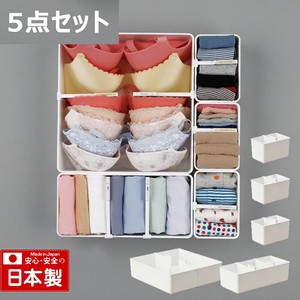 Undergarment Storage Case 5 Pcs Made in Japan
