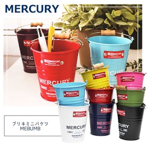 Bucket Mercury Small Case