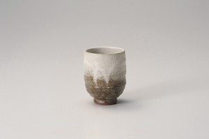Shigaraki ware Japanese Tea Cup Pottery Made in Japan