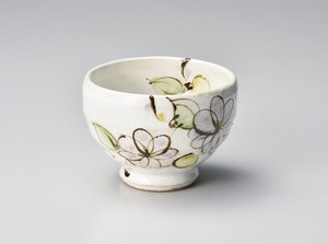 Japanese Teacup Pottery Made in Japan