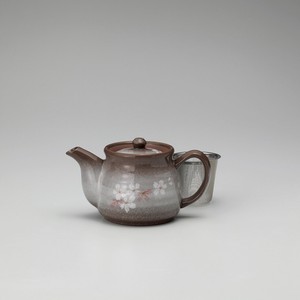 Tea Pot Pottery Made in Japan