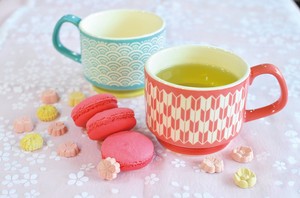 Mino ware Mug Series Made in Japan