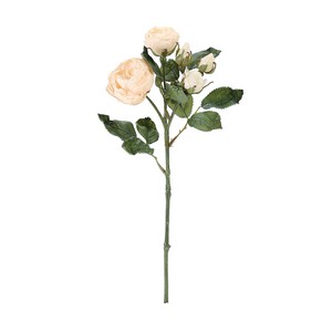 【セール品】MAGIQ　バラ　ドライドパシュミナローズ　クリーム　造花