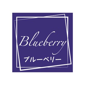 ヘイコー フレーバーシール (味シール) ブルーベリー 98片