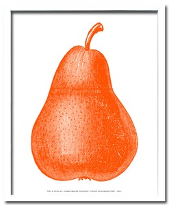 アートフレーム　洋ナシ Pear Orange