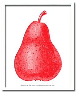アートフレーム　洋ナシ Pear Red