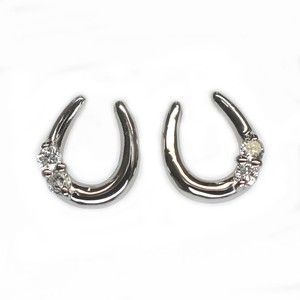Pierced Earrings Platinum Post