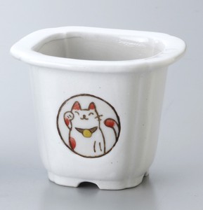 Feng Shui Cat Mini Flower Pot
