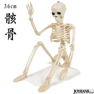 骸骨 フィギュア（36cm） 【おもちゃ/ガイコツ/どくろ/インテリア/ホラー/ハロウィン/雑貨】