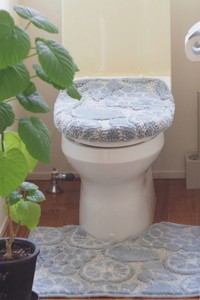 トイレふたカバー メゾンブランシュ maison blanche 抗菌防臭 インテリア マット 日本製