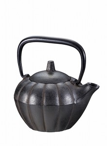 Japanese Tea Pot Lantern plant