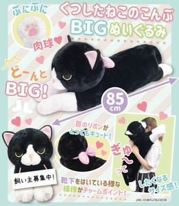 猫 靴下 ぬいぐるみ 人形 玩具 ホビー の商品一覧 卸 仕入れサイト スーパーデリバリー 猫 靴下 ぬいぐるみ 人形 玩具 ホビー の商品一覧 卸 仕入れサイト スーパーデリバリー