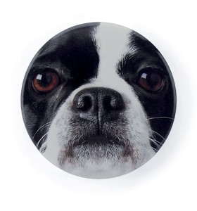 【CATSEYE】French Bulldog Mirror ミラー 鏡 コンパクト イギリス