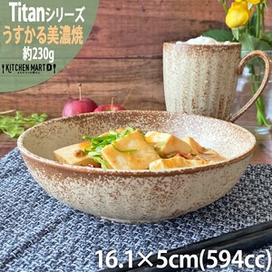 Mino ware Main Dish Bowl M 590cc Made in Japan