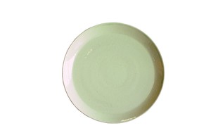 Shigaraki ware Plate Pottery 24cm Made in Japan
