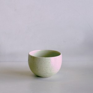 Shigaraki ware Side Dish Bowl Pottery Made in Japan