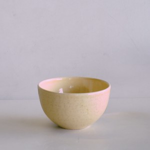 Shigaraki ware Side Dish Bowl Pottery Made in Japan