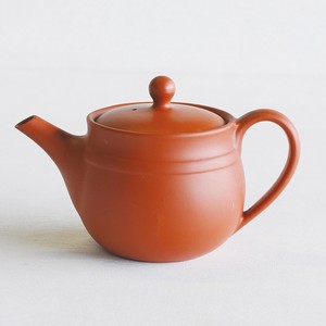 常滑烧 西式茶壶 陶器 2号 日本制造