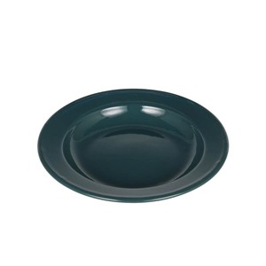 Divided Plate dulton Green