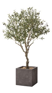 Artificial Ornamental Plant Planter Included Olive Cube